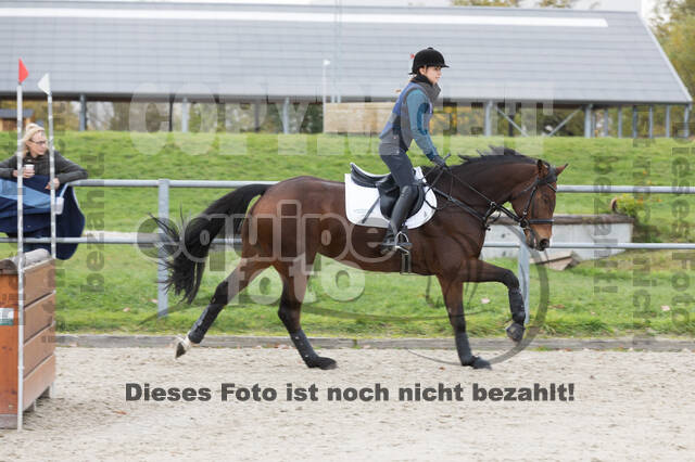 IGV Lehrgang der Sieger der Cups mit Frank Ostholt