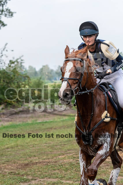 De Peelbergen (August 2020)