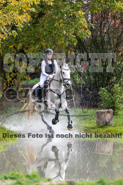 Goldene Schärpe 2020 - Pferde