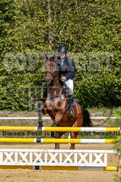RFV Dinslaken-Hiesfeld (Herbstturnier)