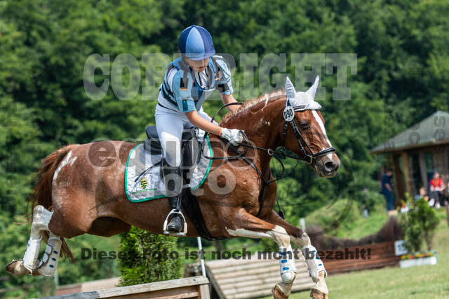 Goldene Schärpe 2021 - Ponys