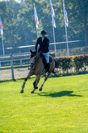 De Peelbergen (August 2020)