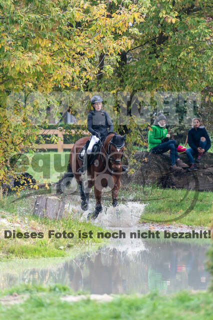 Goldene Schärpe 2020 - Pferde