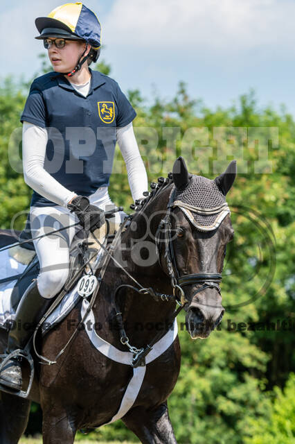 Goldene Schärpe 2021 - Ponys