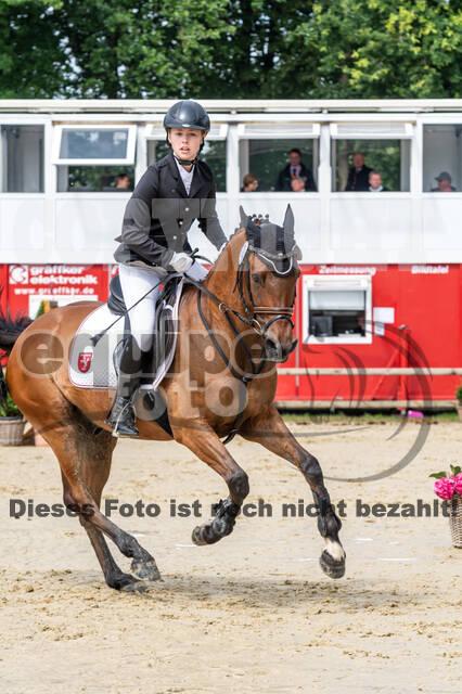Goldene Schärpe 2021 - Ponys