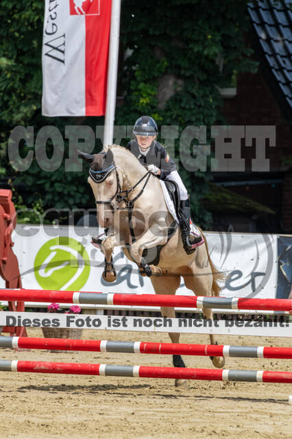 Goldene Schärpe 2021 - Ponys