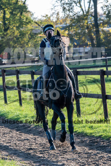 Vielseitigkeitslehrgang mit Jürg Kurbel (9.+10.11.2019)