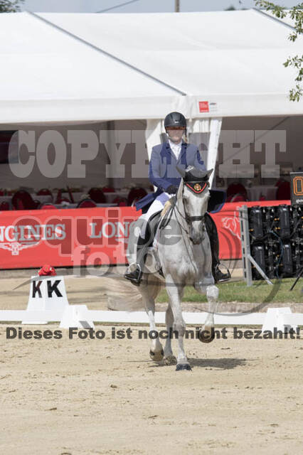 FEI European Championship Eventing 2017