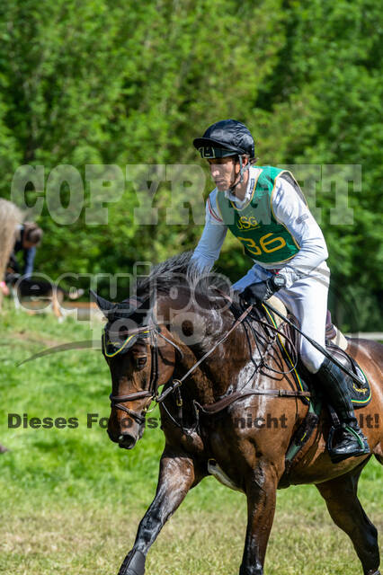 Westerstede Horse Trials (10.-13.06.2021)