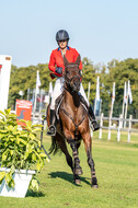 Kronenberg - De Peelbergen (August 2020)