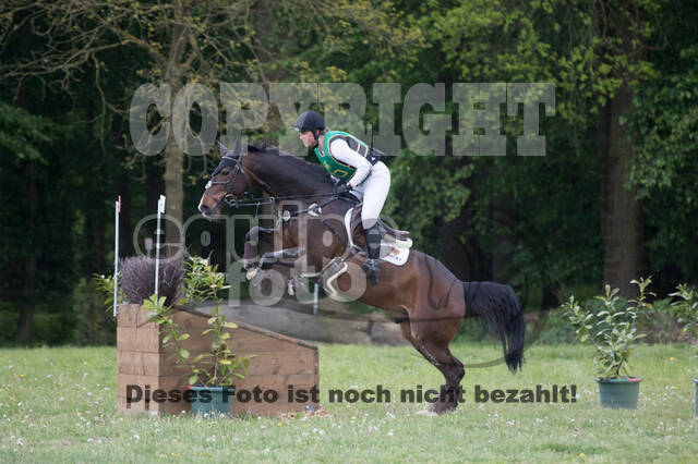 Sterne über Münster 2019 - CCI***S