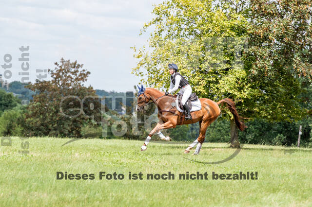 Bonn-Rodderberg Late-Entry-Vielseitigkeit (30.06.2020)