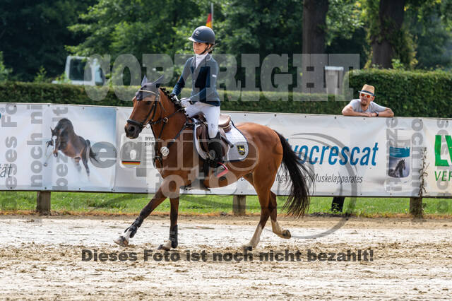 Goldene Schärpe 2021 - Ponys