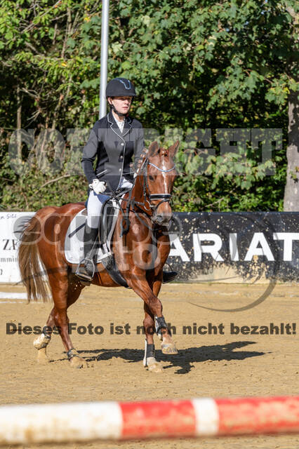 RFV Dinslaken-Hiesfeld (Herbstturnier)