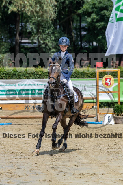 Goldene Schärpe 2021 - Ponys