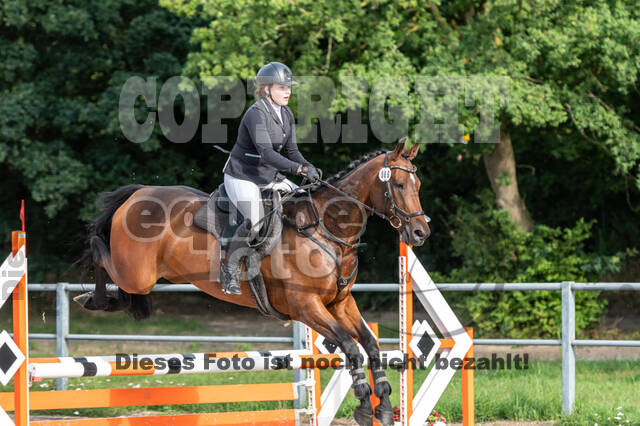 Late-Entry-Vielseitigkeit Langenfeld (06.+07.07.2020)