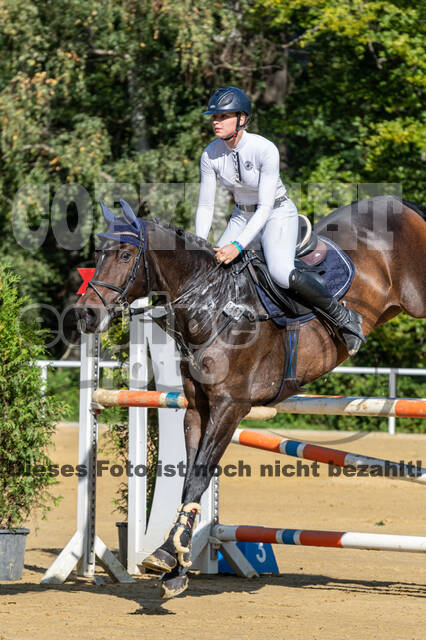 RFV Dinslaken-Hiesfeld (Herbstturnier)