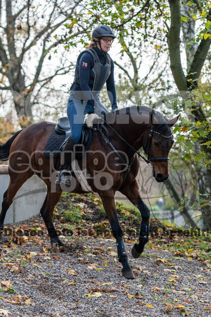 IGV Lehrgang der Sieger der Cups mit Frank Ostholt