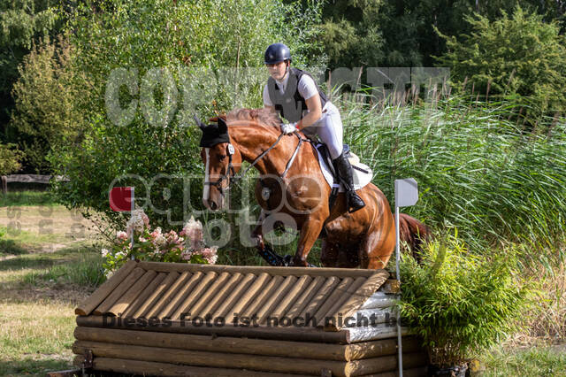 Late-Entry Vielseitigkeit Hamminkeln/Wesel (01.+02.08.2020)