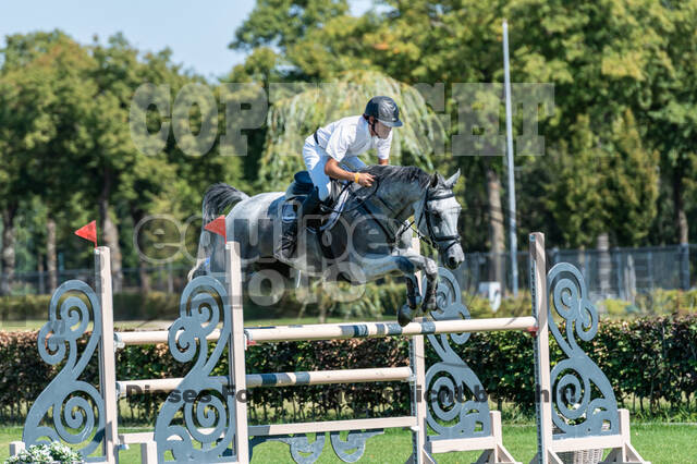 Kronenberg - De Peelbergen (August 2020)