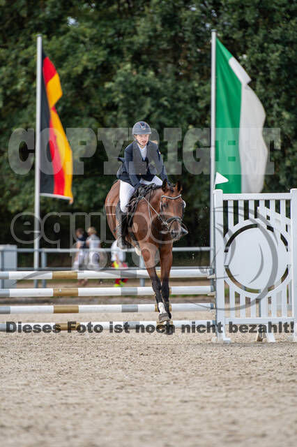 Landesturnier Rheinland, Vielseitigkeit, 22.+23.08.2020