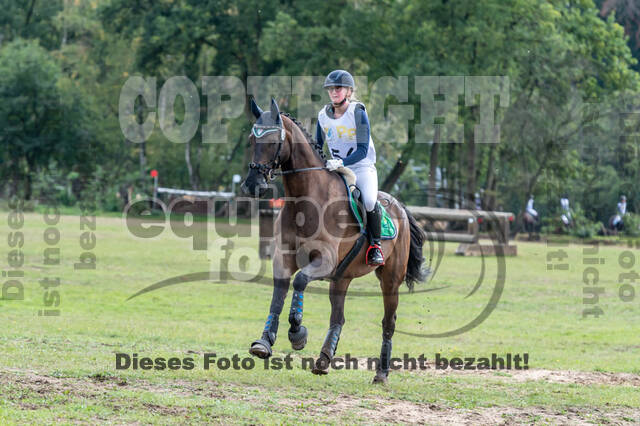 Vielseitigkeit RSV Wesel Obrighoven (26.+27.09.2020)