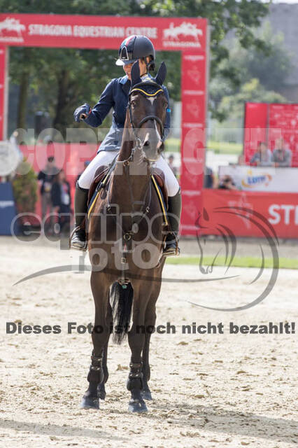 FEI European Championship