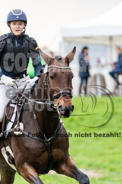 Goldene Schärpe 2020 - Pferde