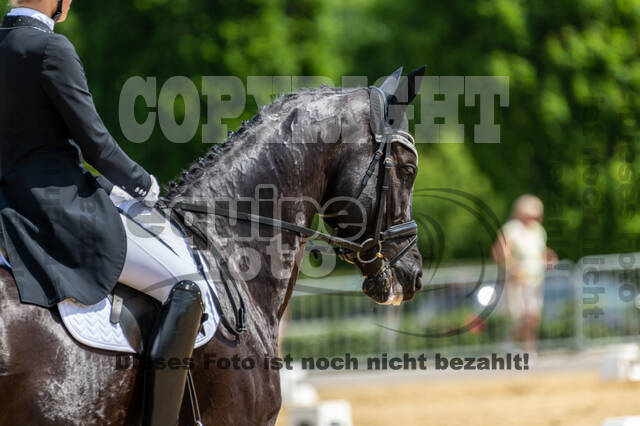 Westerstede Horse Trials 2021