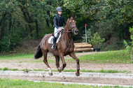 Reiter Schleswig-Holstein