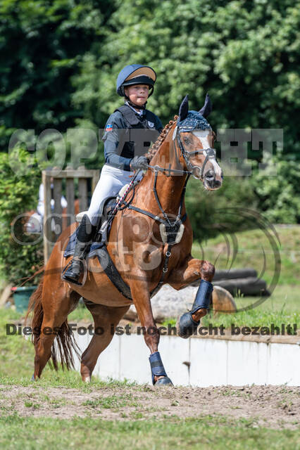 Goldene Schärpe 2021 - Ponys