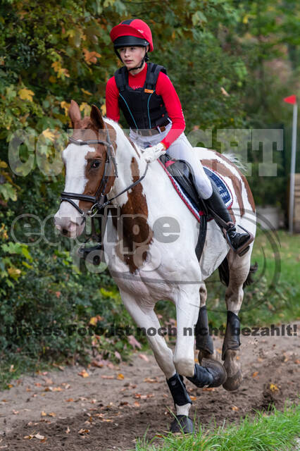 Goldene Schärpe 2020 - Pferde