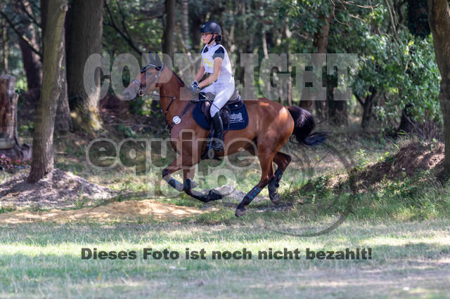 Late-Entry Vielseitigkeit Hamminkeln/Wesel (01.+02.08.2020)