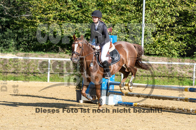 RFV Dinslaken-Hiesfeld (Herbstturnier)