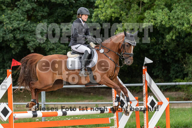 Late-Entry-Vielseitigkeit Langenfeld (06.+07.07.2020)