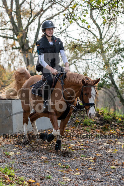 IGV Lehrgang der Sieger der Cups mit Frank Ostholt