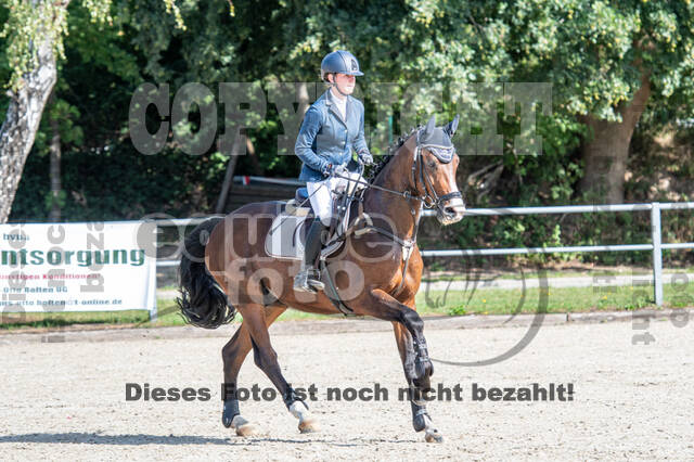 Landesturnier Rheinland, Vielseitigkeit, 22.+23.08.2020