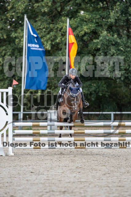 Landesturnier Rheinland, Vielseitigkeit, 22.+23.08.2020