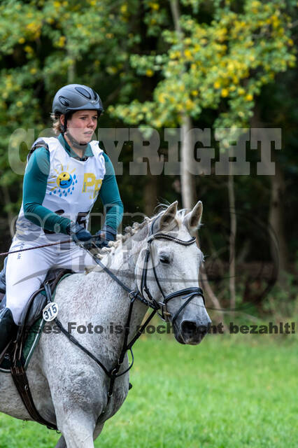 Vielseitigkeit RSV Wesel Obrighoven (26.+27.09.2020)