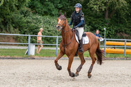Late-Entry-Vielseitigkeit Langenfeld (11.+13./14.06.2020)