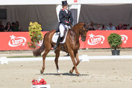 FEI European Championship Eventing 2017