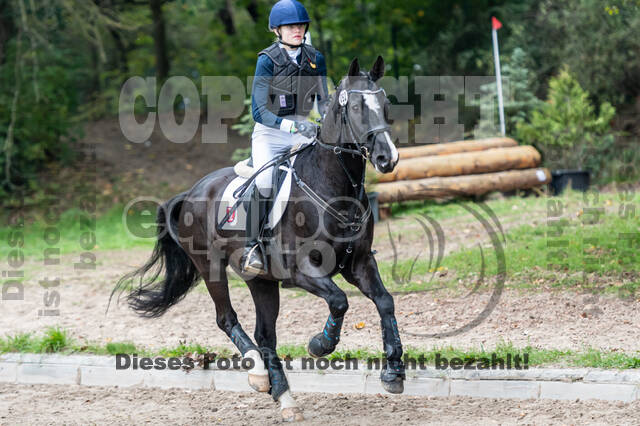 Goldene Schärpe 2020 - Pferde