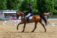Westerstede Horse Trials 2021