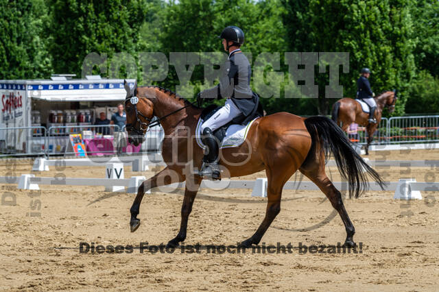 Westerstede Horse Trials 2021