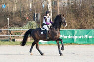 Eventing Langenfeld 2018