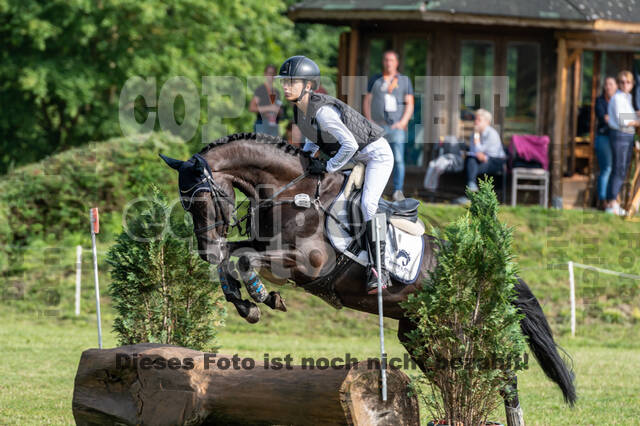 Goldene Schärpe 2021 - Ponys