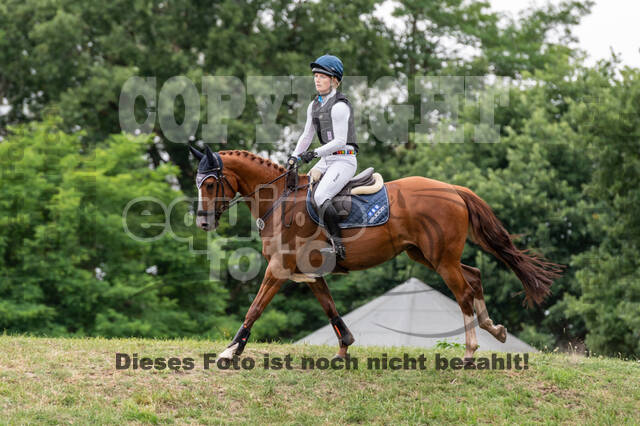 Late-Entry-Vielseitigkeit Langenfeld (11.+13./14.06.2020)