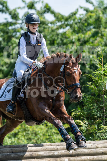 Goldene Schärpe 2021 - Ponys