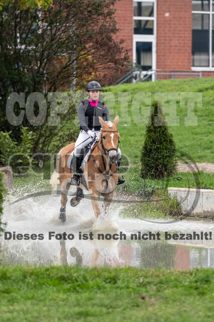 Goldene Schärpe 2020 - Pferde