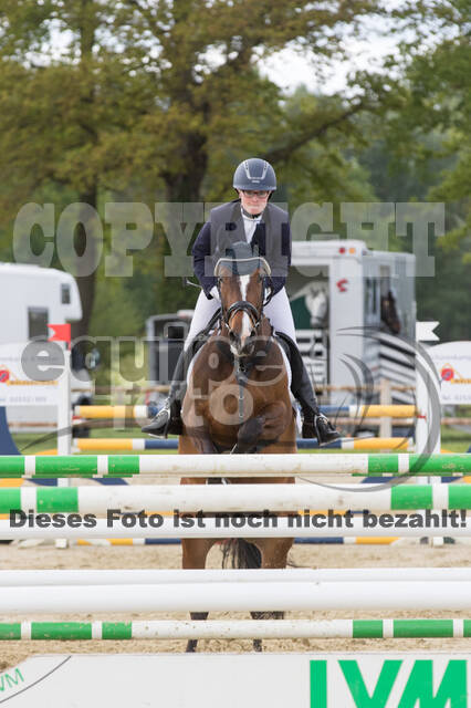 Sterne über Münster 2019 - CCI***S